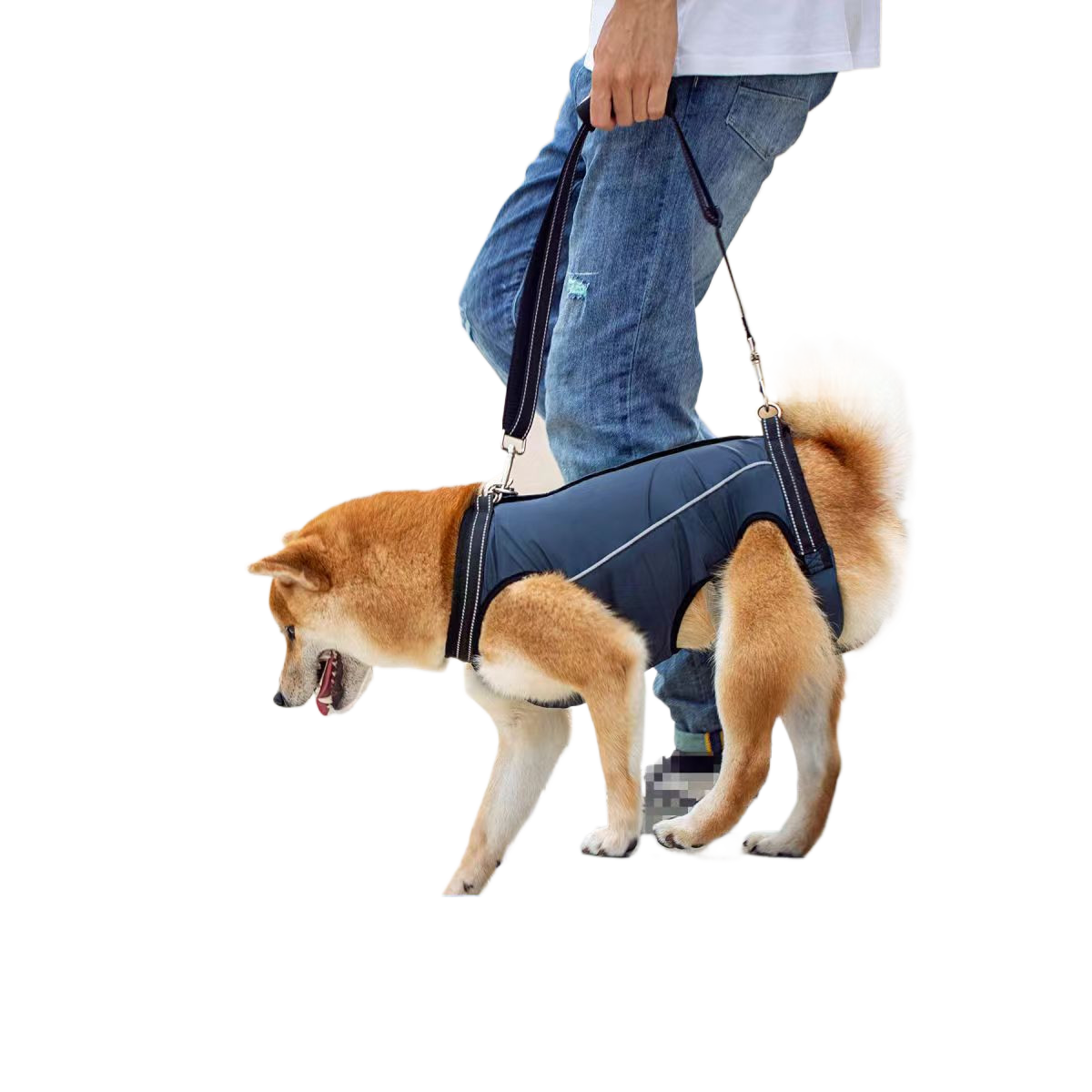 OrthoLift™ VeloHarness